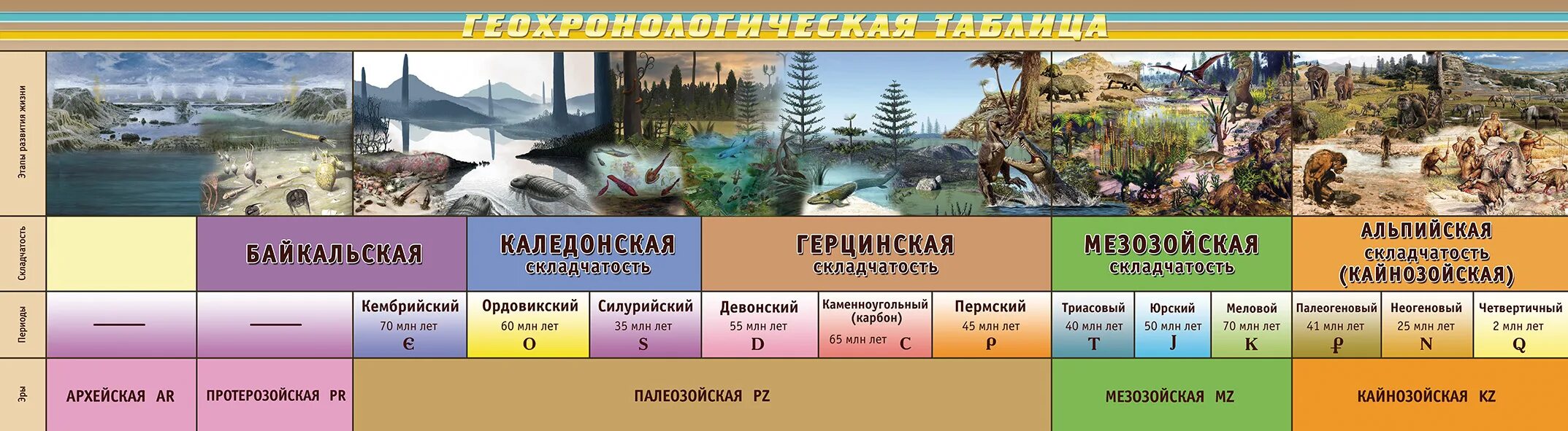 Заполните ленту времени развития жизни на земле