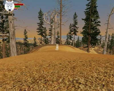 Wolfquest anniversary edition