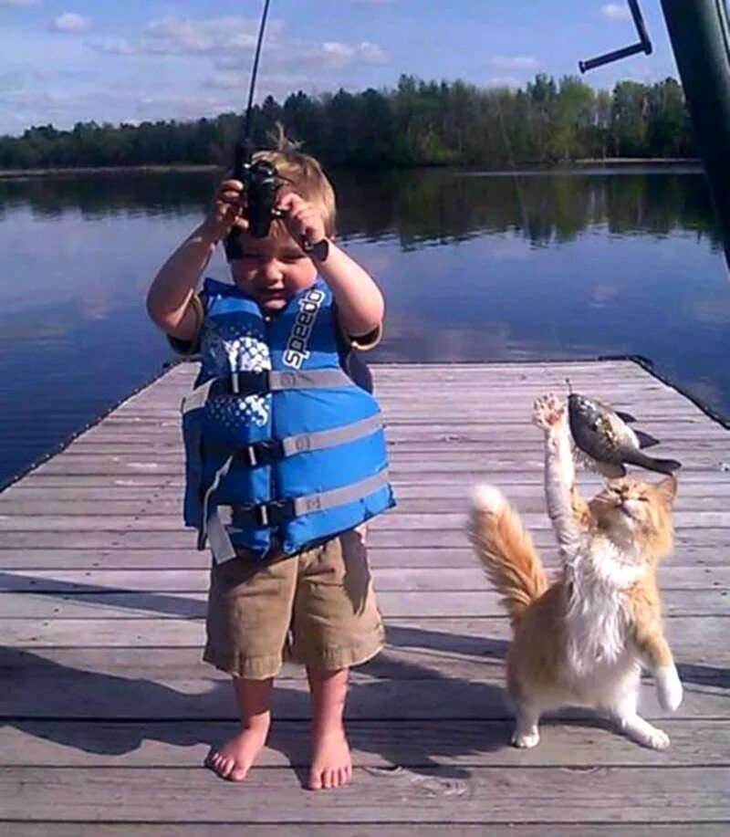 Смешные снимки. Кот Рыбак. Кот на рыбалке. Кошка для рыбалки. Фото с днем юмора