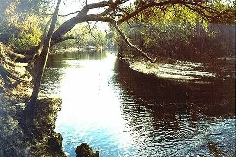 Going down the river