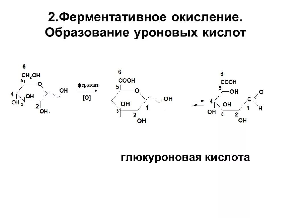 Схема образования d-глюкуроновой кислоты. Глюкуроновая кислота Синтез. Образование глюкуроновой кислоты из Глюкозы реакция. Синтез глюкуроновой кислоты из Глюкозы. Реакция образования окисления глюкозы