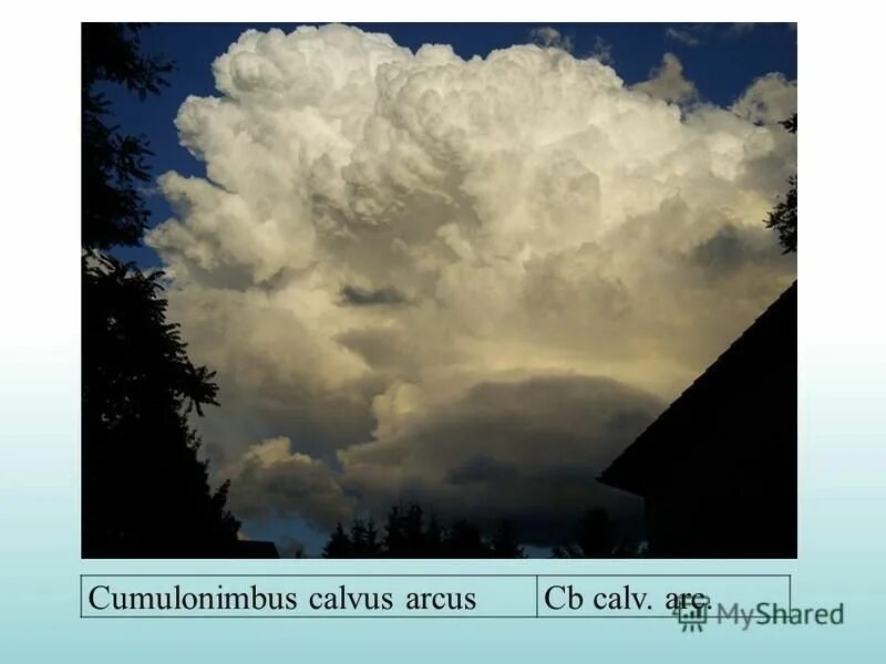 Cumulonimbus calvus. Cumulonimbus capillatus Arcus. CB Calv облака. Cumulonimbus calvus Arcus (CB Calv. Arc.) — «.