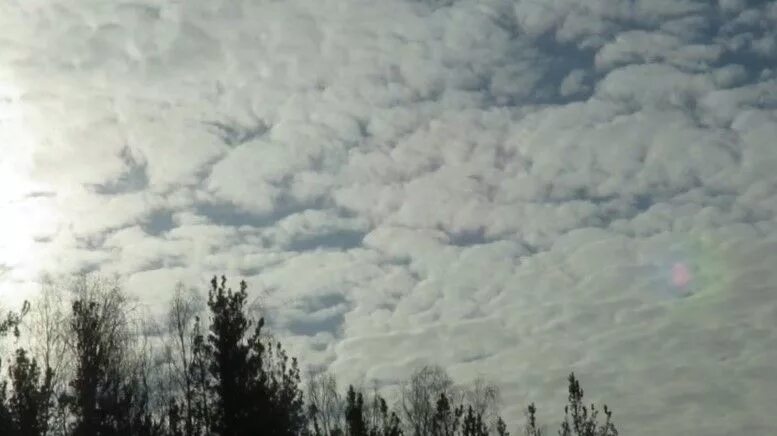 Лениво и тяжко плывут облака блок тема. Облака плывут против ветра. Облака по небу плывут пушистые облака. Туча против облако. Тучи над тайгой.