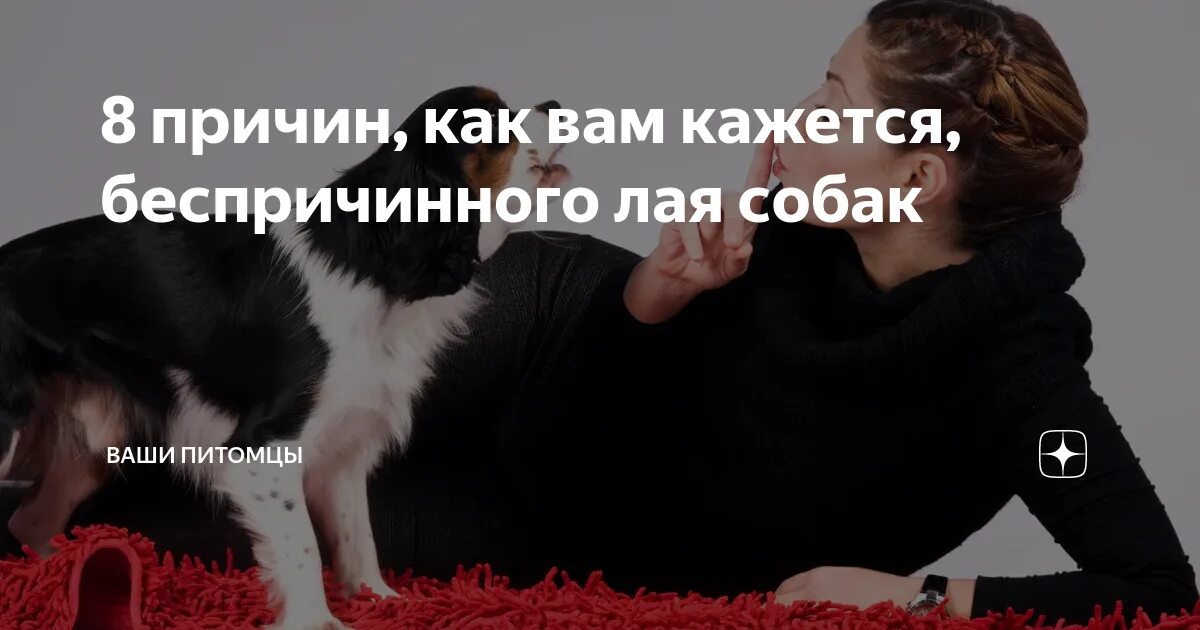 Как отучить собаку лаять. Как отучить собаку выть. Что делать если собака лает. Что делать если собака гавкает. Соседи гавкает собака