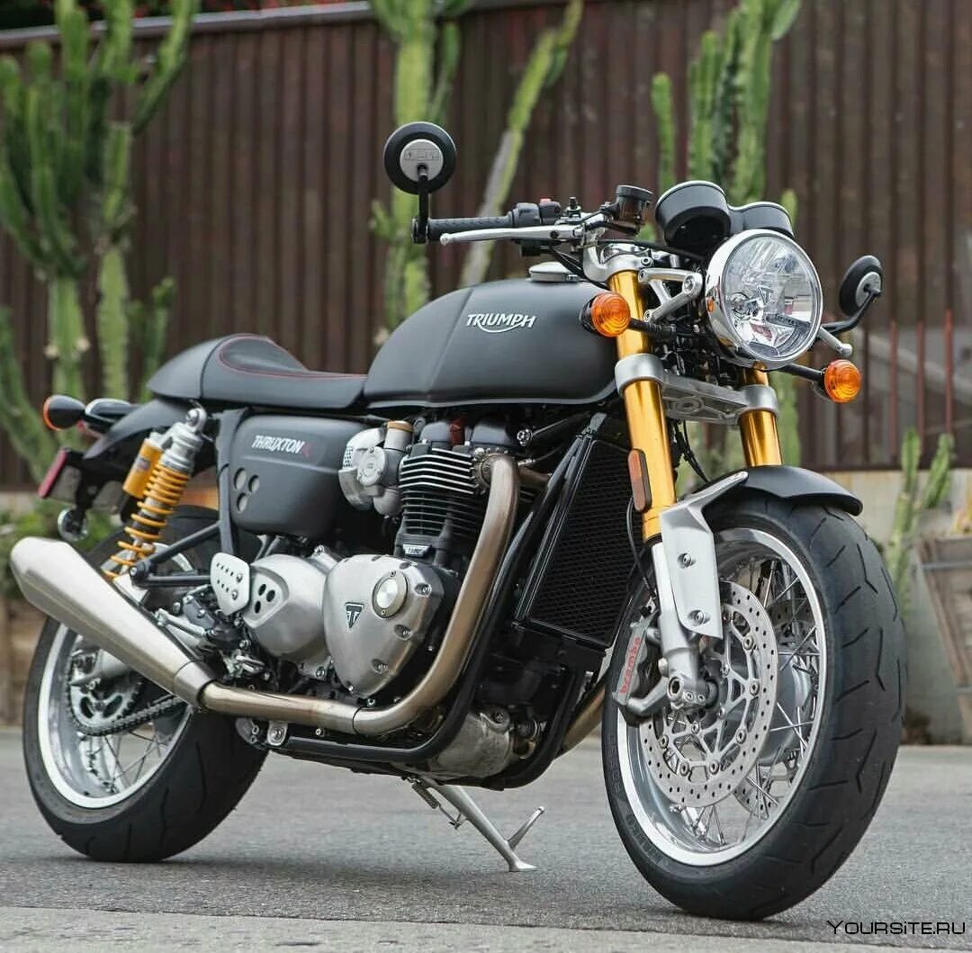 Триумф тракстон. Мотоцикл triumph thruxton. triumph thruxton 900. мотоцыкл триуф трекстон. мотоцикл триумф thruxton 900.