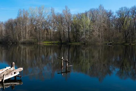 Earlier in lake