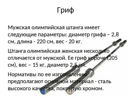 Сколько весит гриф от штанги для жима