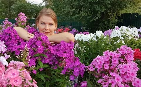 Сад флоксов анны калугиной каталог