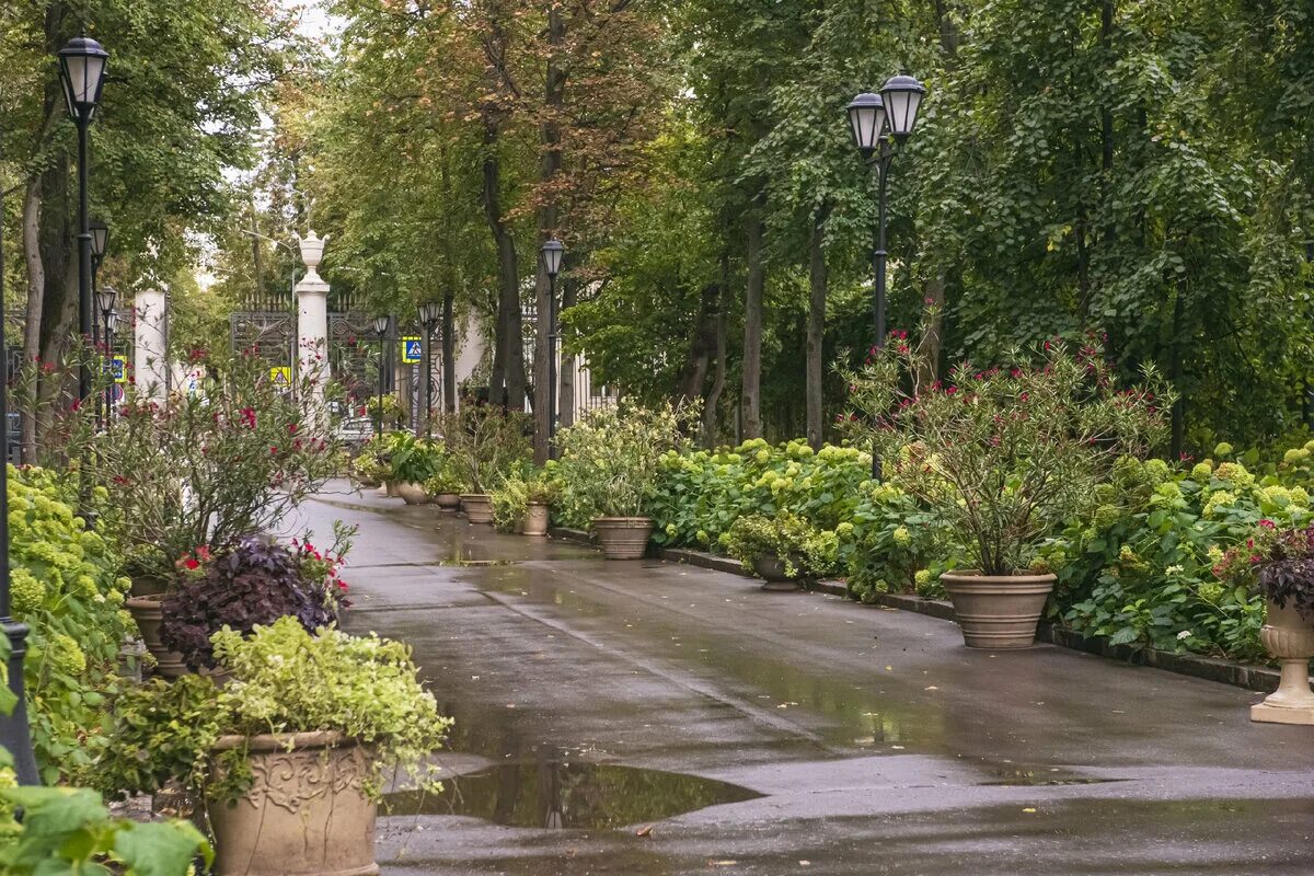 Примыкающий сад. Нескучный сад в Москве. Красивые парки. Нескучный сад Новороссийск. Нескучный сад Дагестан.