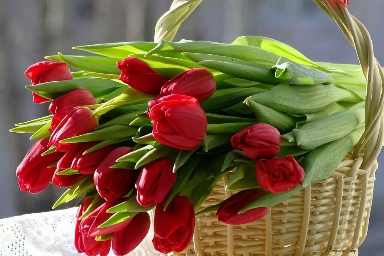 Доброго дня любимым друзьям. Корзинка с тюльпанами. Букет тюльпанов. Весенний букет. С днём рождения тюльпаны.