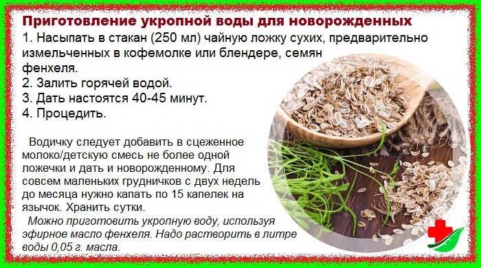 Укроп от кашля. Как сделать укропную водичку для новорожденного. Укропная вода как приготовить. Как приготовить укропную воду в домашних условиях. Как заваривать укропную водичку.