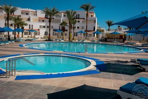 Albatros sharm ex beach 4 отзывы