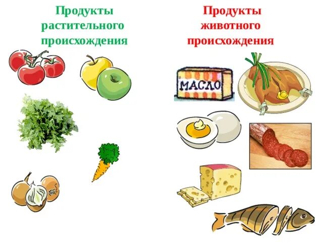 Продукты растительного происхождения 2 класс окружающий. Продукты растительного и животного происхождения. Растительное питание. Продуктов питания растительного происхождения. Пища растительного происхождения.