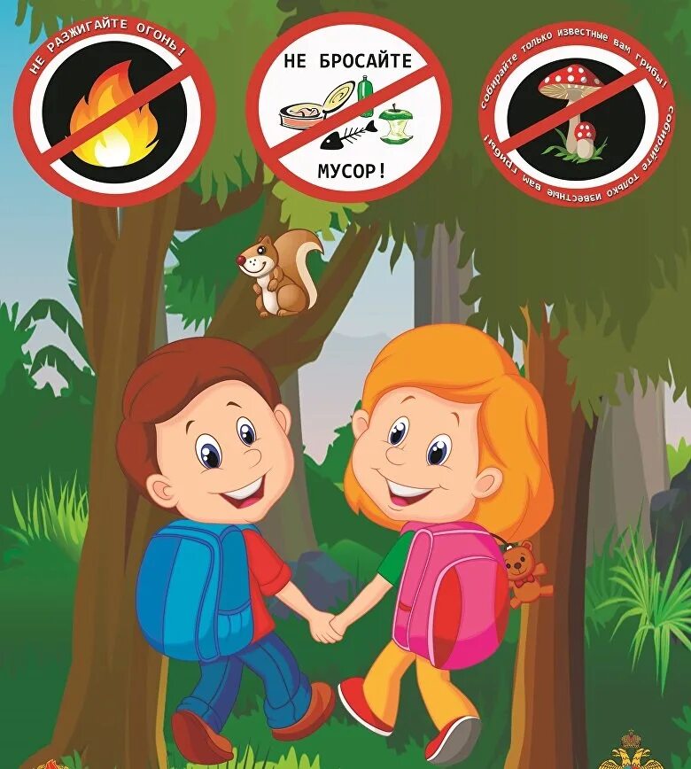 Поведение в лесу летом. Безопасность в лесу. Безопасное поведение в лесу. Правила поведения в лесу. Безопасность в лесу для дошкольников.