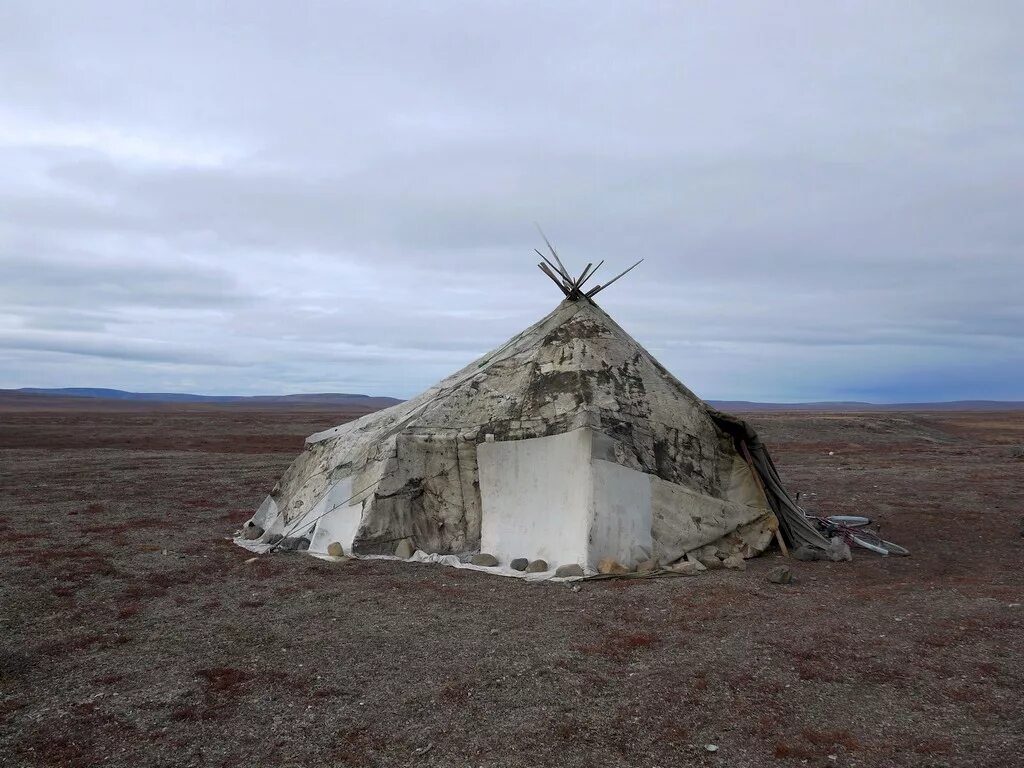 Жилище народов крайнего севера. Чукчи жилище яранга. Жилище Коряков яранга. Яранга Чукотка. Яранга чукчей-оленеводов.