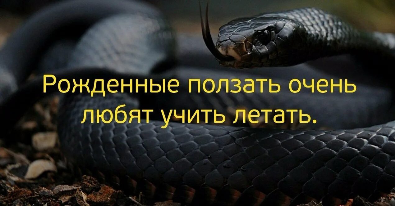 Значение ползала