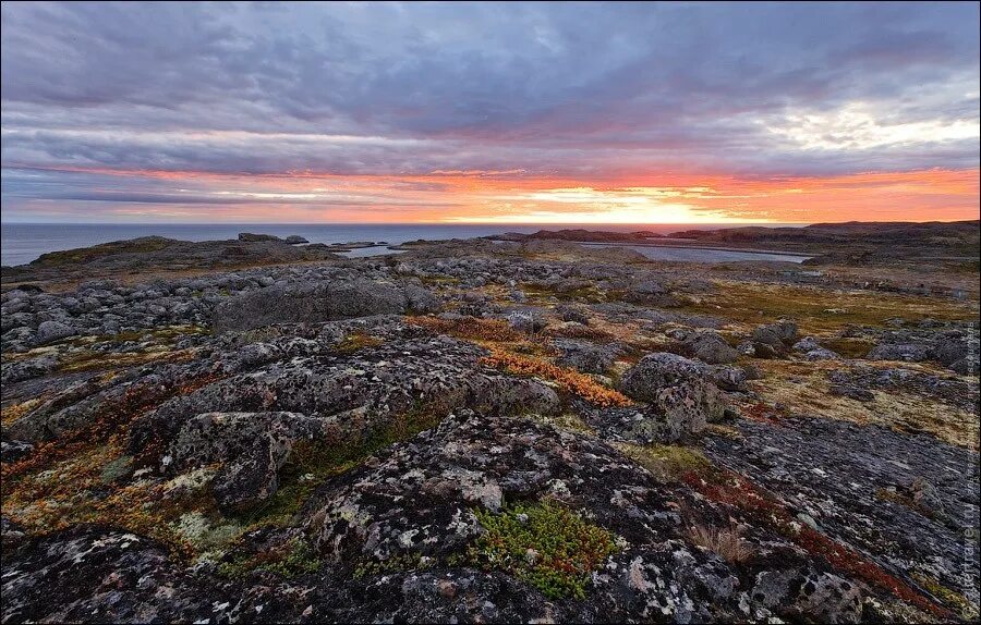 малоземельская тундра. безлесная тундра. тундра лесотундра степь. мурманский тундровый государственный природный заповедник. кольский полуостров ландшафт.
