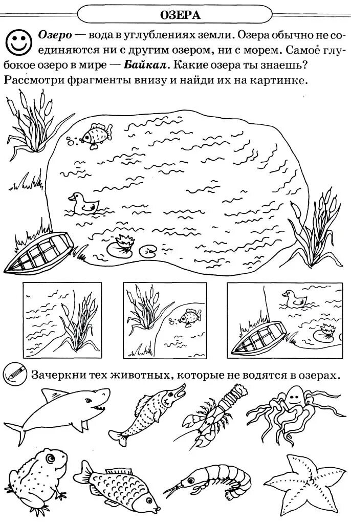 Обитатели водоемов задания для дошкольников. Жители океана задания для дошкольников. Задания географ для дошкольников. География для малышей.