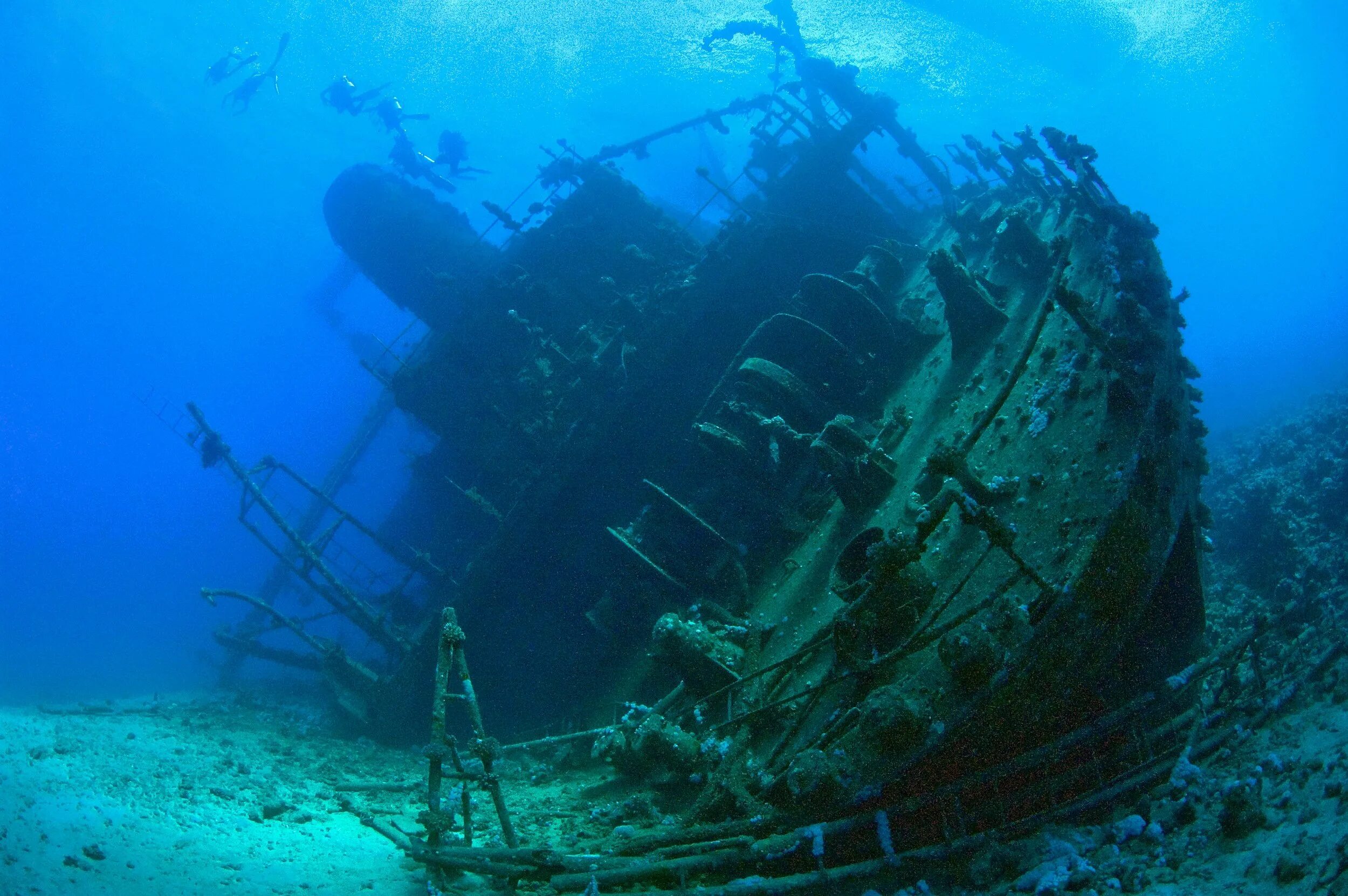 Корабль SS Thistlegorm, красное море. Архипо-Осиповка затонувший корабль. Шарм Эль Шейх затонувший корабль Тистлегорм. SS Thistlegorm затонувшие корабли. Корабли на дне океана