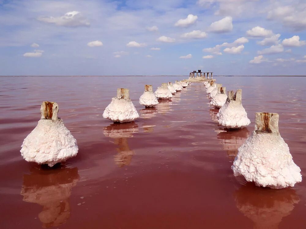 Сасык Сиваш озеро. Озеро Сасык Сиваш Евпатория. Озеро Сасык-Сиваш (розовое озеро). Крым соленое озеро Сиваш. Соль добывается в озере