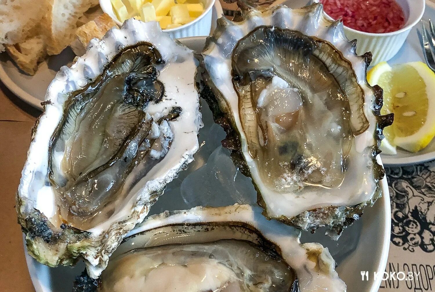 Чем отличаются устрицы от мидий. Двустворчатые моллюски мидии устрицы морской гребешок. Чем отличаются устрицы от мидий. Устрицы и мидии отличия. Чем отличаются устрицы от мидий.