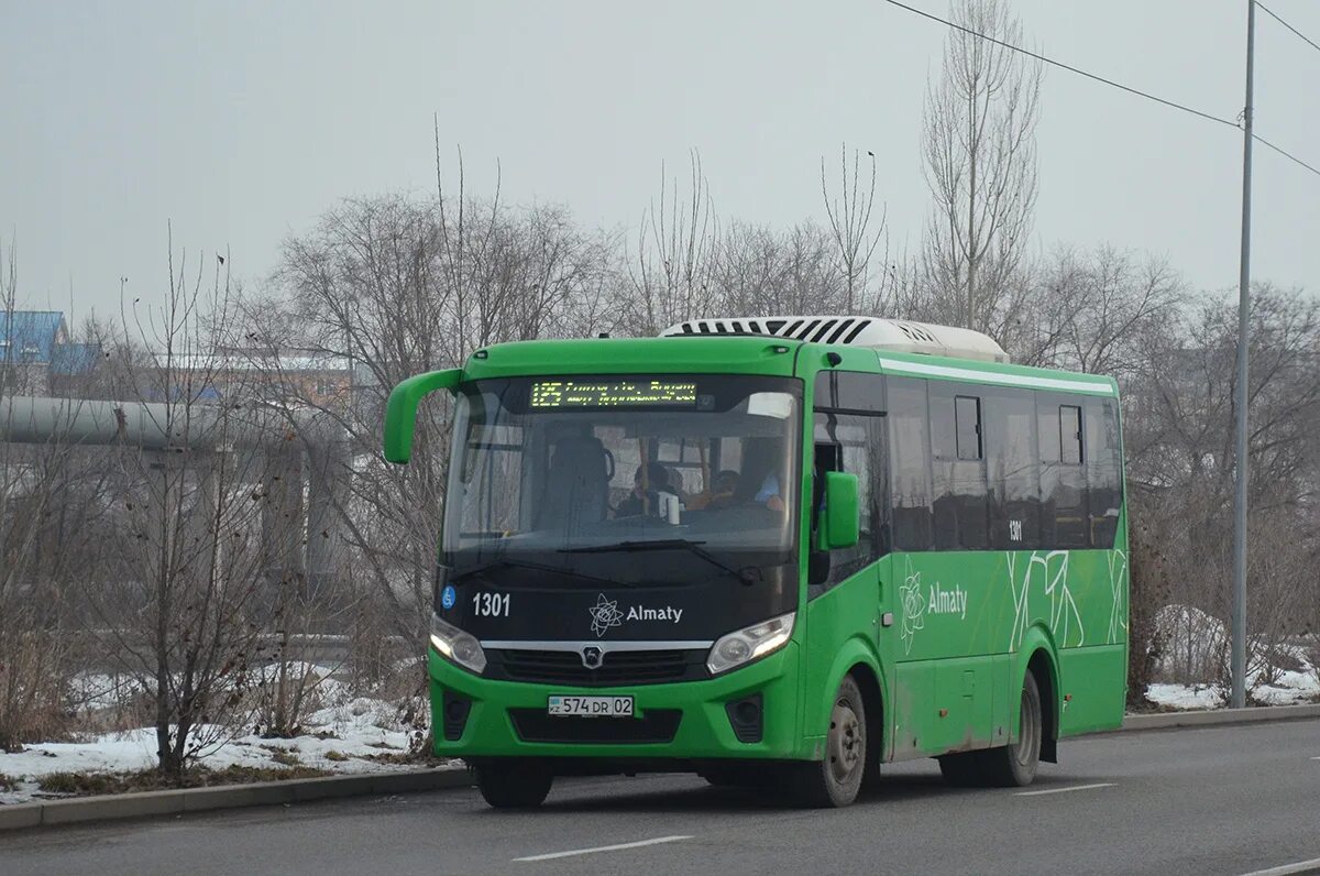 Автобус. Автобус 316 дзержинск мулино. Автобус 1301 мулино. Мулино нижний новгород автобус 1301 расписание автобусов. Маршрут 1301 нижний.