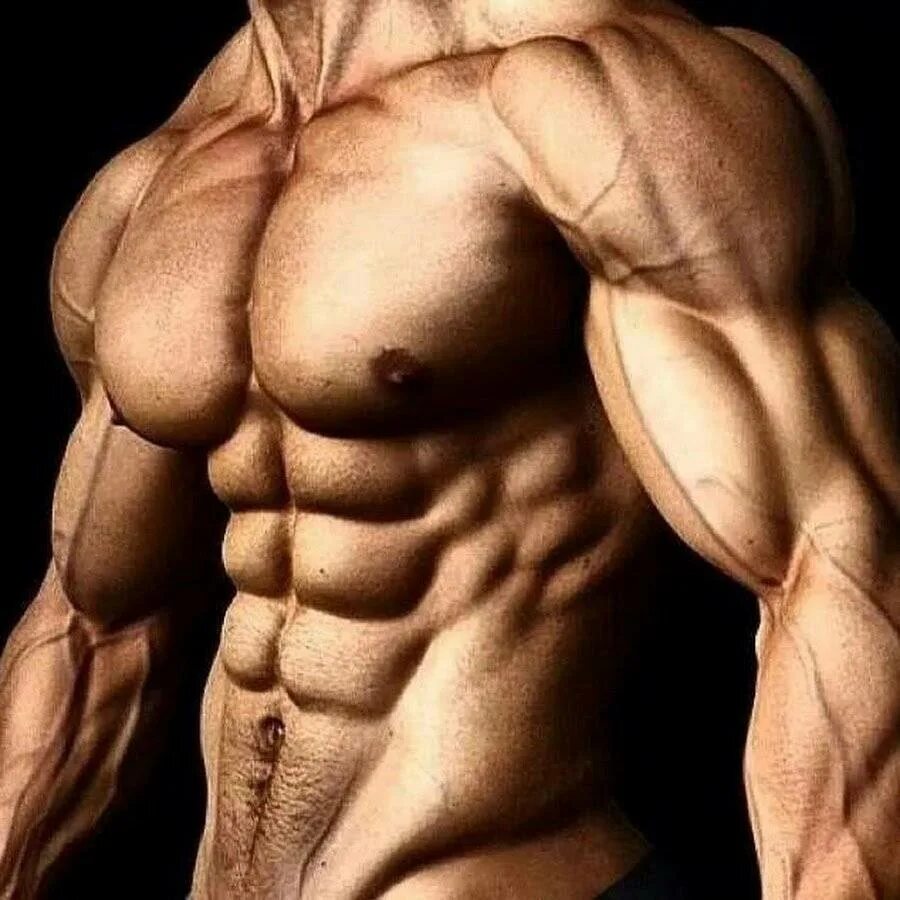 Очень сильный организм. Рельеф мышц. Рельефное тело. Красивые мышцы. Рельефный пресс.