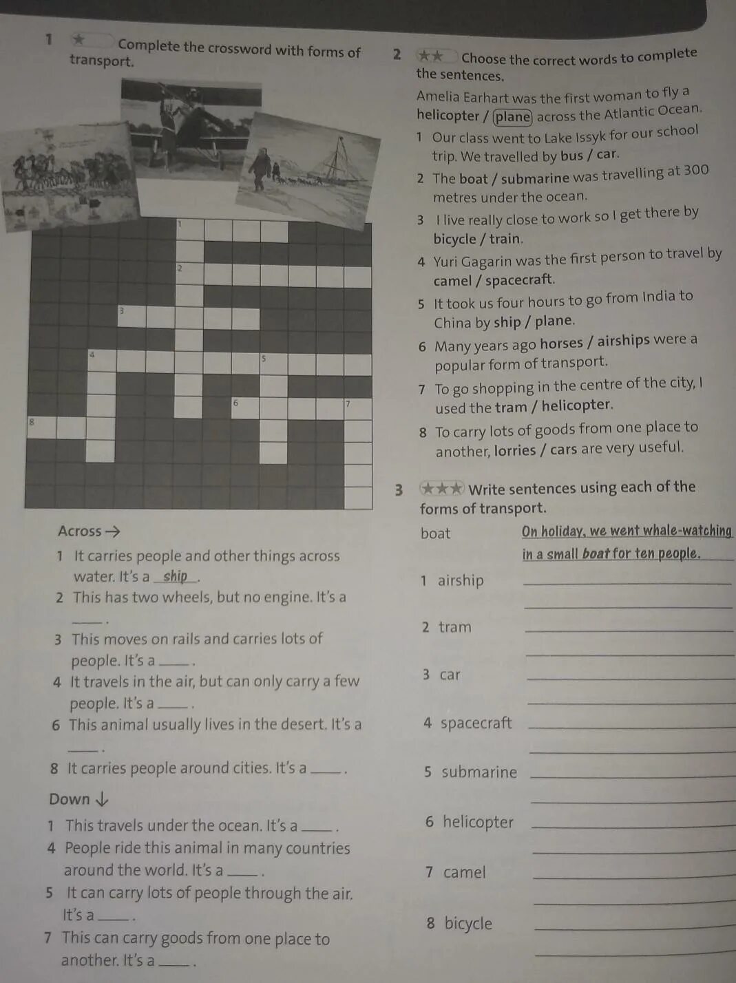 Complete the crossword down