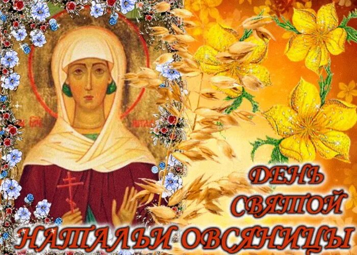 Святой Натальи овсяницы. День Святой Натальи овсяницы. С днем Святой Натальи поздравление. День Святой Натальи овсяницы открытки. Именины натальи по православному 2024