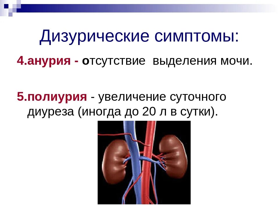 Повышенное выделение мочи. Отсутствие выделения мочи. Анурия. Анурия симптомы. Полиурия олигурия анурия.