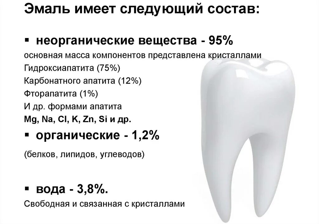 Сколько стоят зубы человека. Структура и свойства эмали зубов. Строение эмали зуба человека. Структура и химический состав эмали зубов. Эмаль строение химический состав.