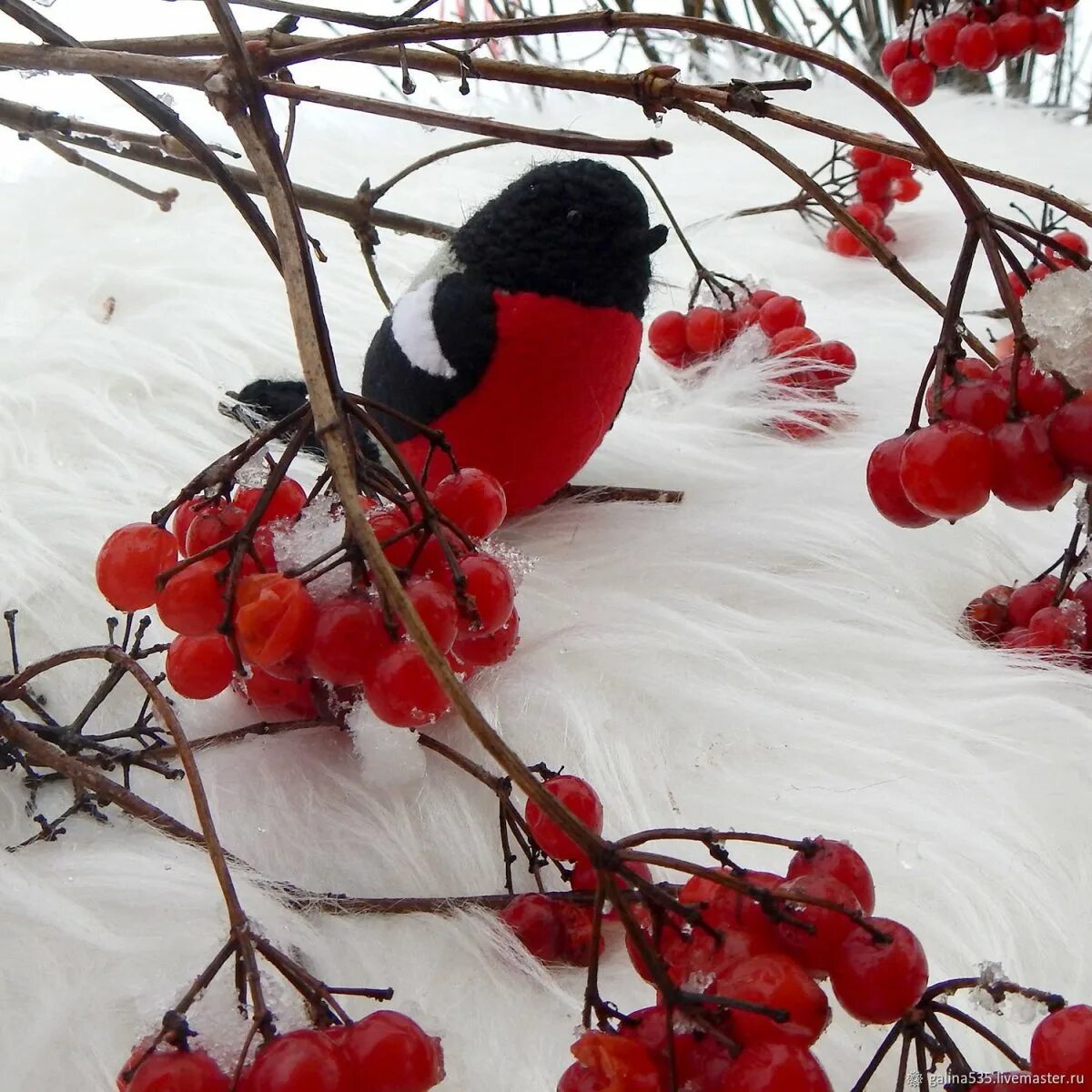 Красногрудый Снегирь. Красноголовый Снегирь. Красногрудый Снегирь зимняя птица. Снегири на рябине. Снегири ни