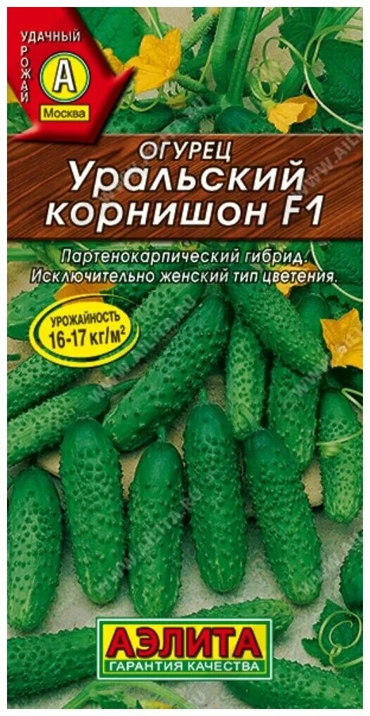 Огурец пикник. Семена огурцов. Партенокарпический гибрид огурцов. Сорта огурцов для открытого грунта.