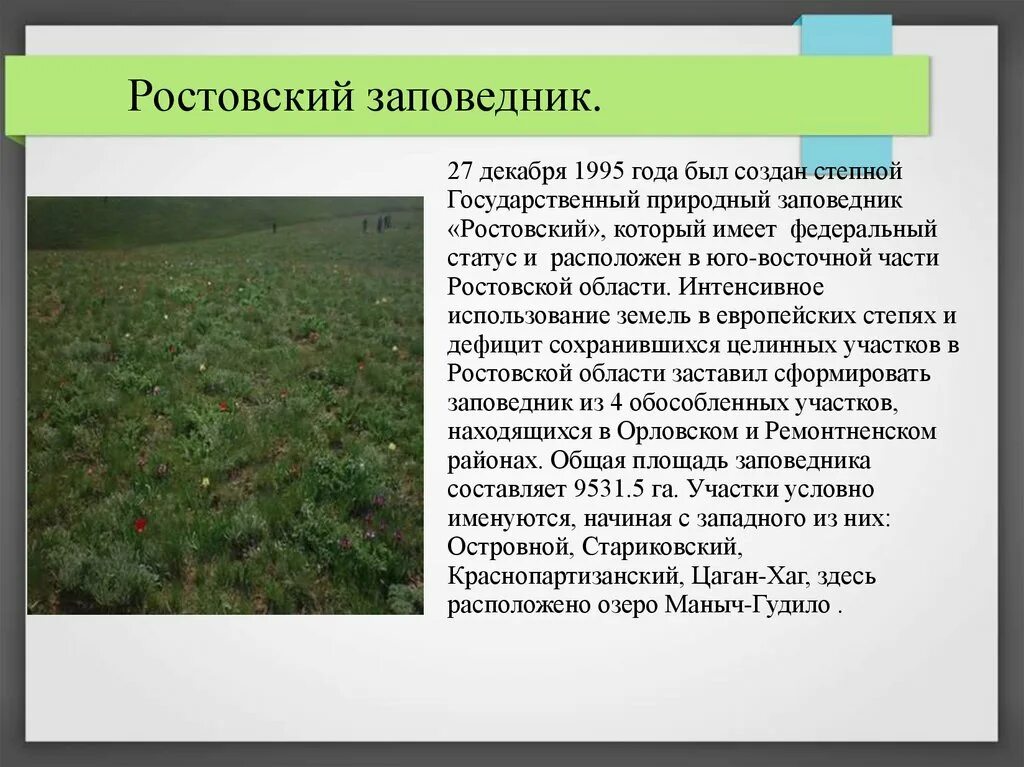 Какая растительность на территории