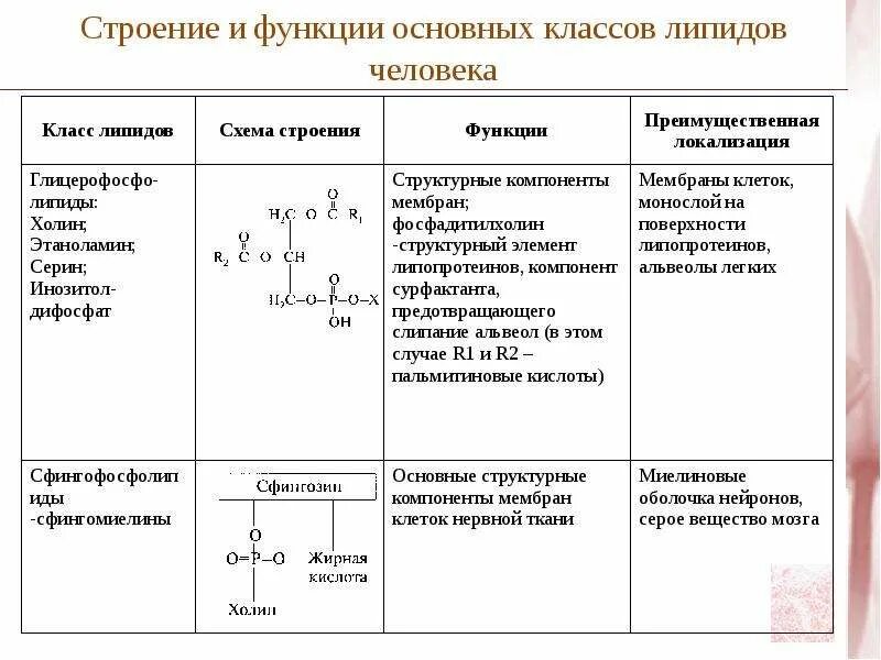 Общие функции липидов. Жиры липиды строение функции таблица. Жиры структура функции свойства. Жиры строение и функции таблица. Строение и функции жиров биология 9 класс.