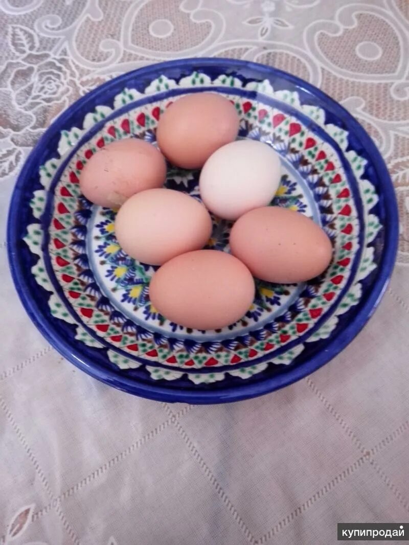 Яйцо на дачу цена. Купить домашние яйца в Астрахани. Астрахань цены на яйца. Куплю яйцо астрахань