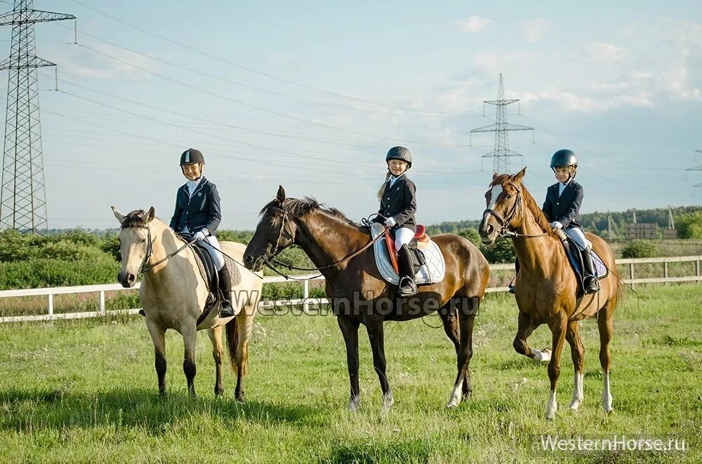 Кск хорс. Конюшня вестерн Хорс. Конный клуб Western Horse. Конная школа для детей. Конные соревнования вестерн дети.