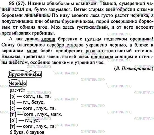 Низина разбор слова. Низины облюбованы ельником темной Сумеречной. Низины облюбованы. Гдз по русскому языку 6 класс ладыженская. Низины облюбованы ельником разбор предложения.