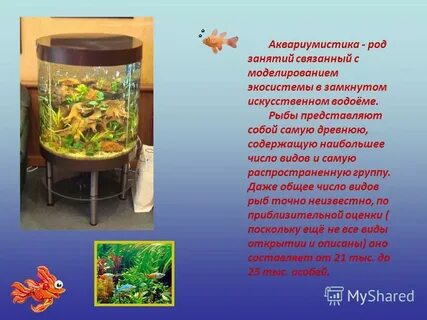 Аквариум 5 класс биология