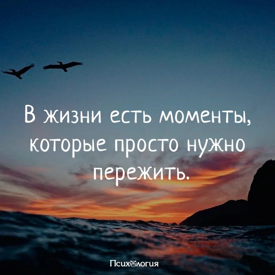 Красивые изречения. Афоризмы про трудности в жизни. Красивые афоризмы. Цитаты про трудности в жизни. Я переживу и вас и нас