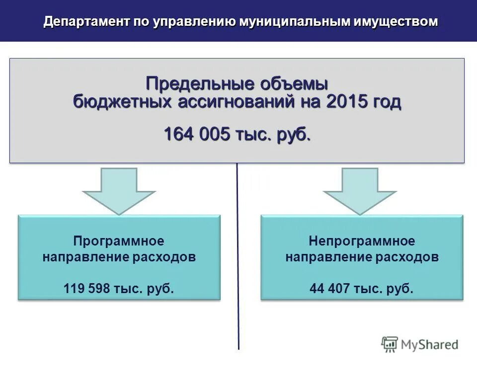 Бюджетные ассигнования примеры. Предельных объемов бюджетных ассигнований. Предельных объемов бюджетных ассигнований. Департамент финансов мэрии городского округа тольятти. Основные подходы к формированию бюджетных расходов.
