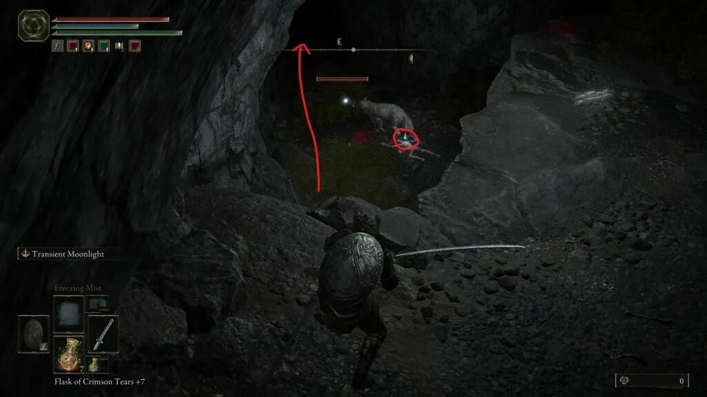 пещера драконьего кургана. запад драконьего кургана elden ring. погребальная птица elden ring звездные пустоши. пещера драконьего кургана. пещера драконьего кургана.