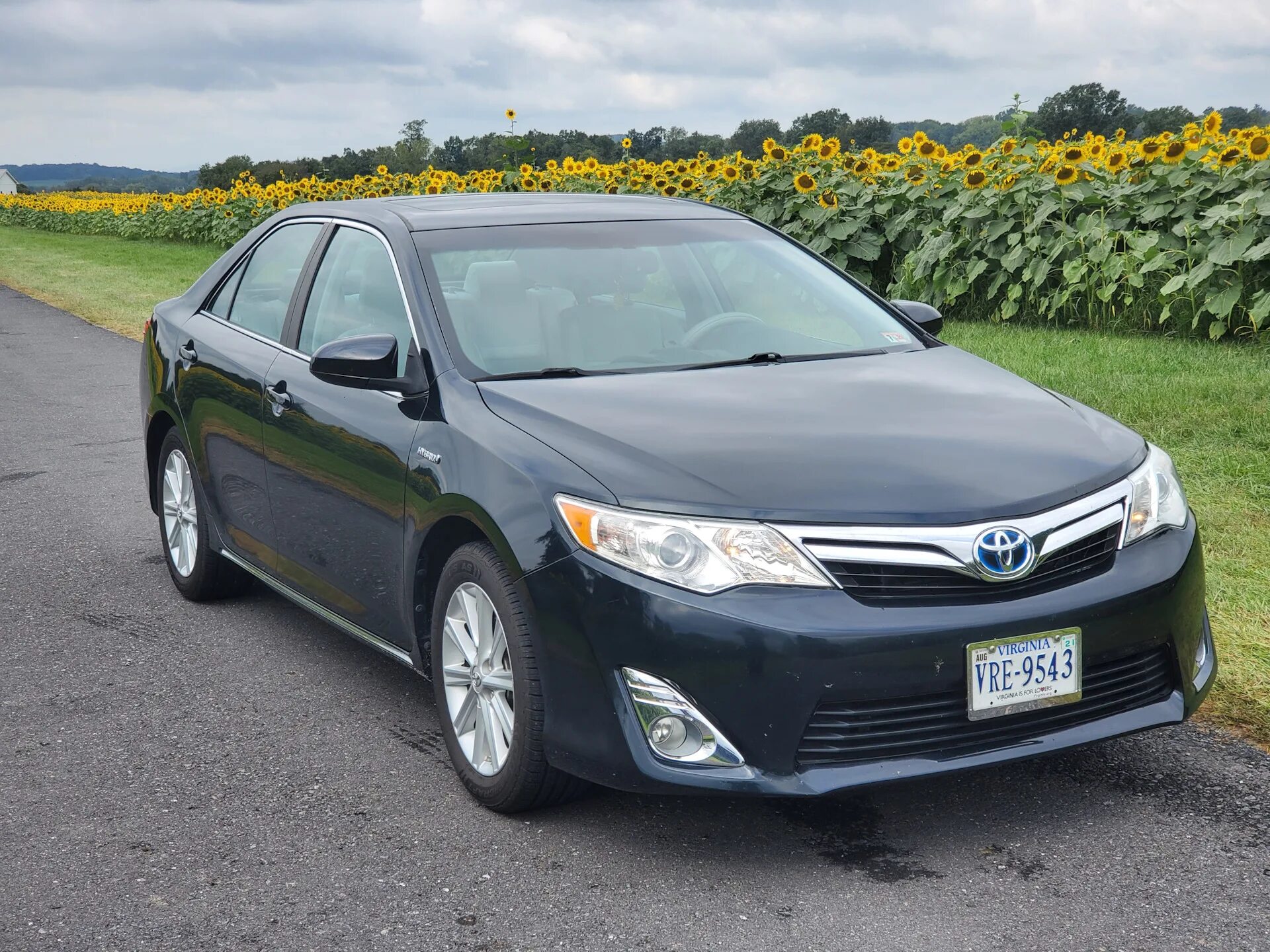 Toyota Camry Hybrid 2013. Toyota Camry xv50. Toyota Camry 50 Hybrid. Camry Hybrid (xv50).