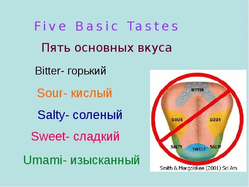 Пять видов вкуса. 5 Основных вкусов. Вкусы виды умами. Пятый вкус умами.