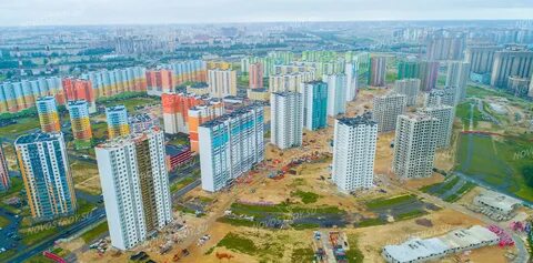 Новая охта актив