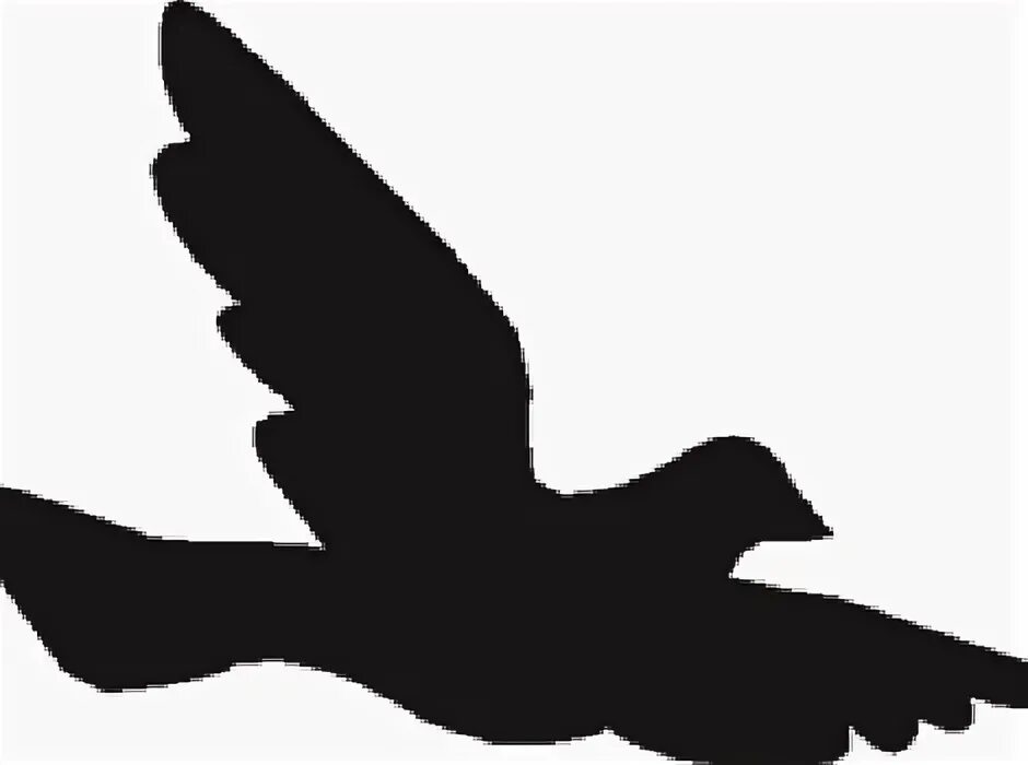 Bird shape