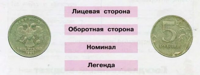 Названия частей монеты 3 класс окружающий мир. Лицевая и оборотная сторона монеты. Покажи стрелками части монеты. Части монеты названия 3 класс. Чем схожи разные монеты окружающий мир 3