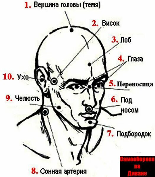 Точки на затылке. Болевые точки у человека на теле схема. Висок часть головы. Строение человека висок. Строение головы виски,темя.