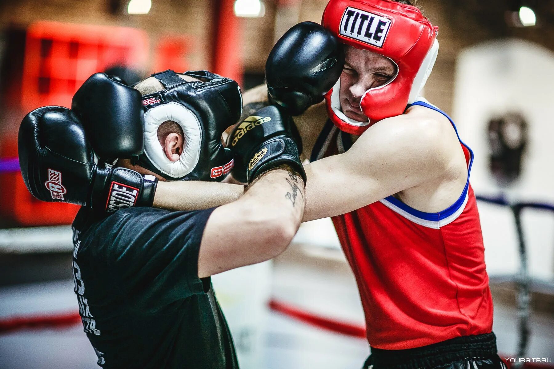 Спарринг бой. Бокс спарринг. Кикбоксинг спарринг. Вид спорта кикбоксинг. Кикбоксинг спарринг.