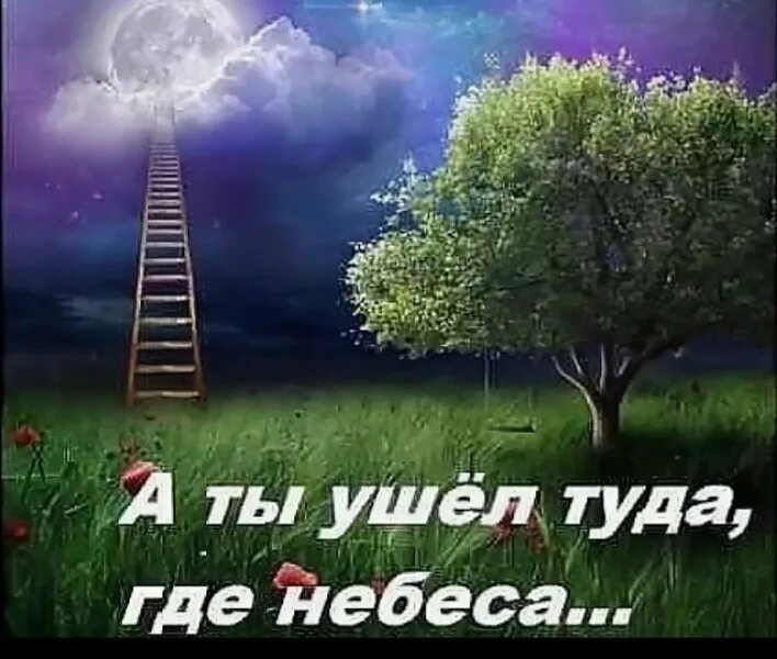 Ушел на небеса. Ты ушел на небеса. Ты ушел на небо. Ты ушел навсегда в небеса. Айнура ты ушел туда где